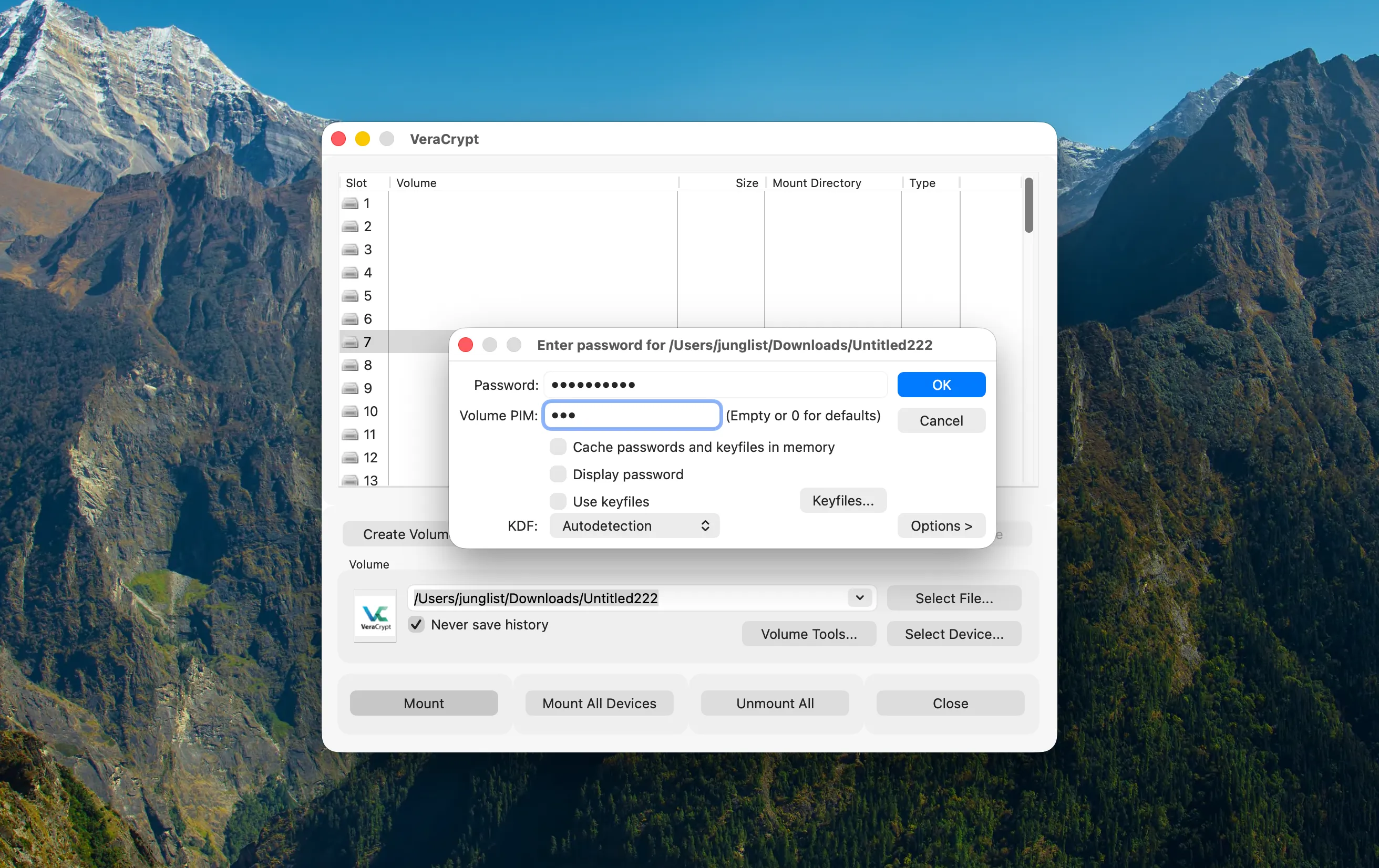 VeraCrypt password dialog with fields for the password and volume PIM